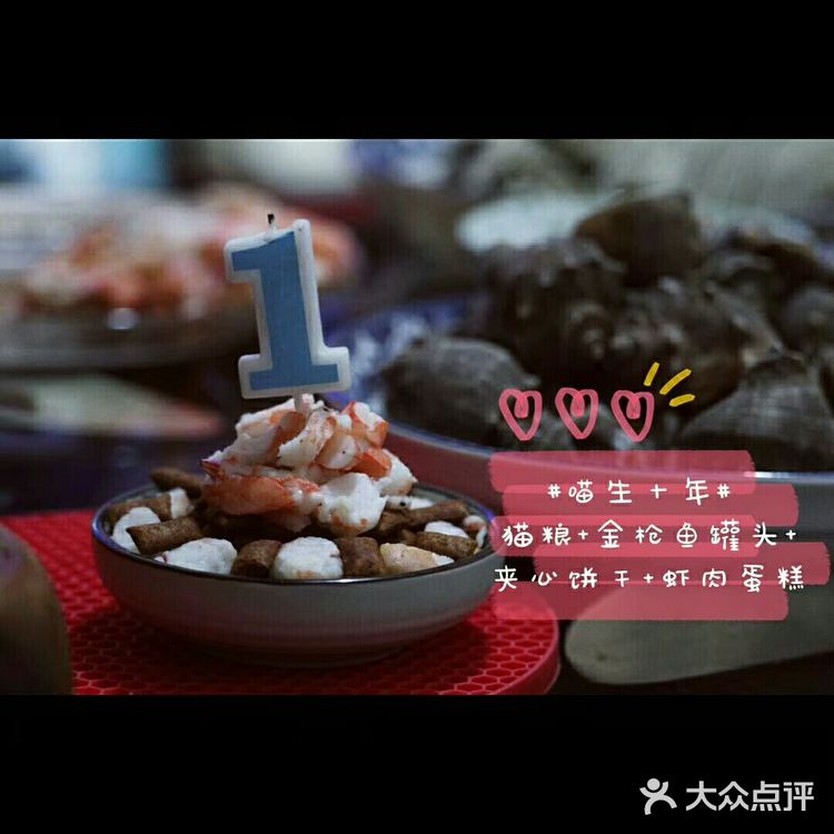 【在家撸猫】猫肉分割图·庖丁解猫