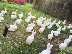 -森波拉火山温泉