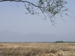-野鸭湖国家湿地公园