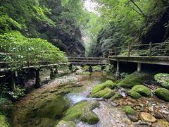 -牛背梁国家森林公园