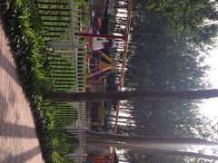 -仁和公园(顺义区)