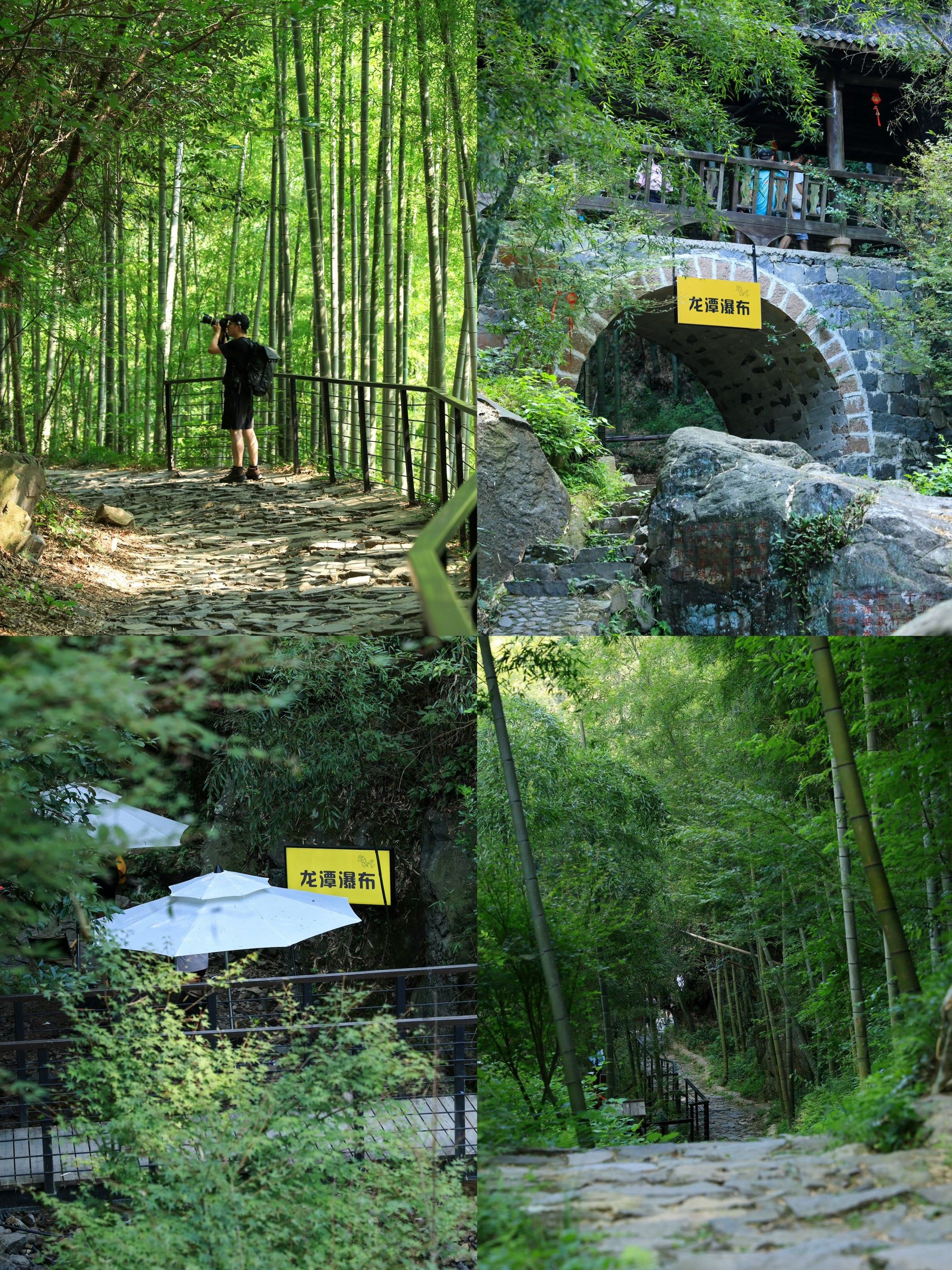 曾经0元免费的景点碧坞龙潭,而现今却需要40/人的门票(23年底看红书