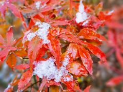 -崂山九水游览区