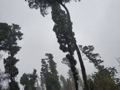 -金堂县云顶石城风景区