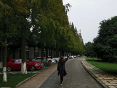 -太阳岛度假酒店