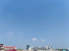 -日照海滨国家森林公园