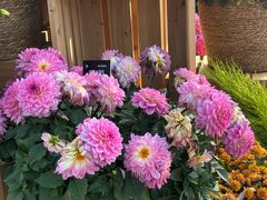 -上海植物园-4号门售票处