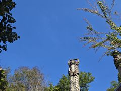 -墨江北回归线标志园