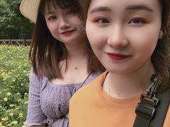-广州市流溪河国家森林公园