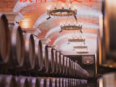 -北京张裕爱斐堡酒庄