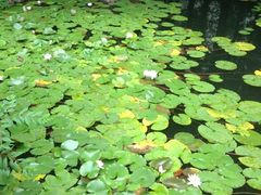 iphone_upload_pic-上海虹桥迎宾馆