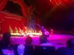 -珠海横琴长隆《卡卡虎奇遇记》