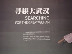 -盘龙城国家考古遗址公园