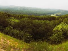 -塞罕坝国家级自然保护区