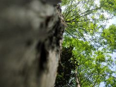 -昆山城市生态森林公园