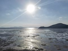 -花岙岛