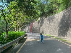 -小南山公园