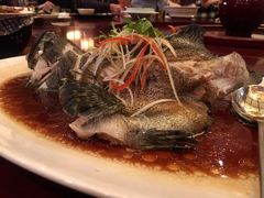 清蒸石斑鱼-粤尚腾香居中餐厅(首都机场希尔顿店)