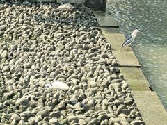 -苏州河梦清园环保主题公园