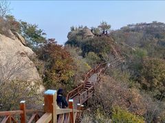-大岭沟猕猴桃谷风景区