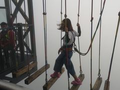 -梦幻奥陶纪景区