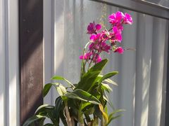 -肴约·花园式餐厅(湖里店)