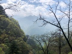 -陕西省红河谷森林公园