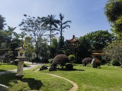 -深圳仙湖植物园