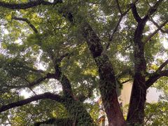 -桂林独秀峰王城景区