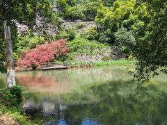 -莫干山风景区