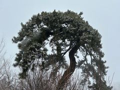 -终南山南五台景区