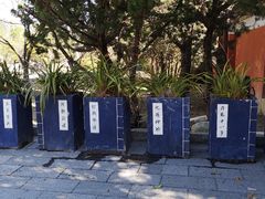 -天龙八部武侠城