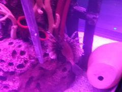 -沈阳海洋探索中心