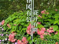 -云溪植物园