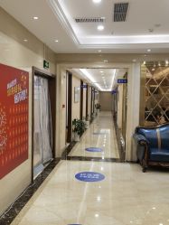 -碧莲盛·不剃发植发