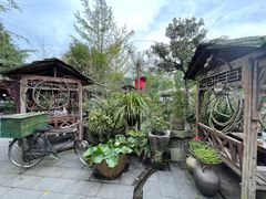 -青城甲(青城山店)