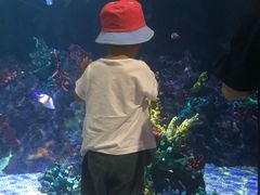 -台州海洋世界