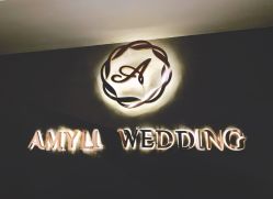 -艾米丽婚纱礼服