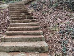 -上海佘山国家森林公园天马山园