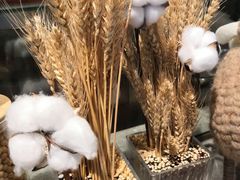 -莲香西域·正宗新疆菜(龙华店)