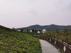 -石塘人家