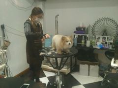 -Oh My Dog宠物沙龙(伊珊娜皮毛护理店)