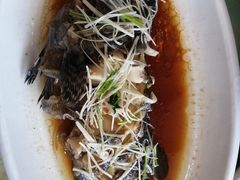 清蒸石斑鱼-前王院•巧克力海鲜市集餐厅(万平口店)