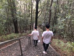 -神光山国家森林公园