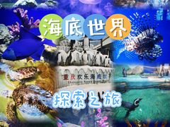 -重庆欢乐海底世界