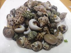 -天天渔港海鲜酒家(石浦玉泉路店)