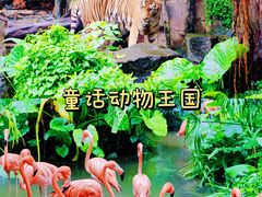 -长鹿旅游休博园
