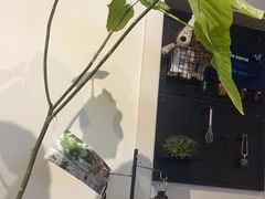 -船到桥头自然直CIAOCOFFEE