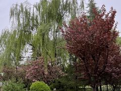 -城市运动公园(未央区)