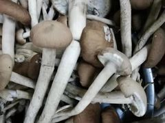 -北京清河镇农副产品交易市场中心